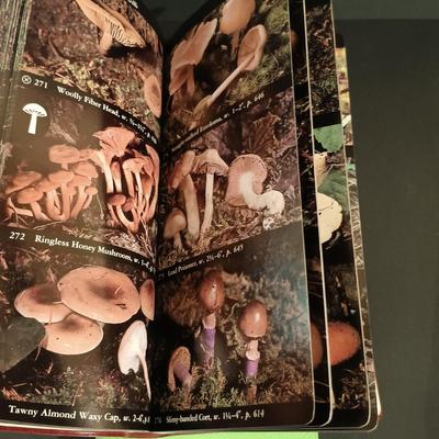 Sale Photo Thumbnail #470