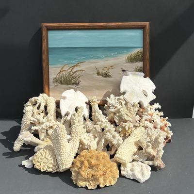 LOT 89: Seaside Collection of Corals & Sand Dollars along with a Signed Painting