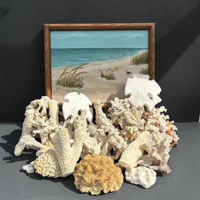 LOT 89: Seaside Collection of Corals & Sand Dollars along with a Signed Painting