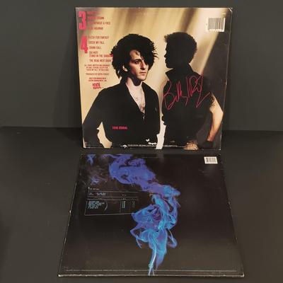 LOT 110: Vintage Record Collection- Billy Idol, Culture Club, Bananarama & More
