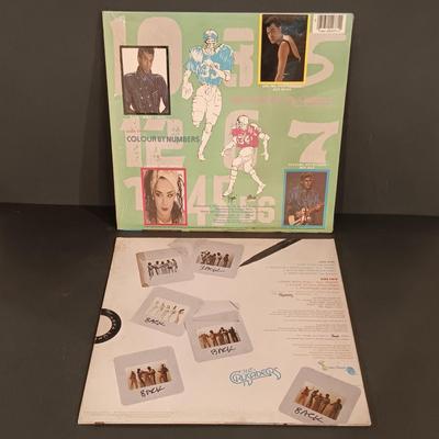 LOT 110: Vintage Record Collection- Billy Idol, Culture Club, Bananarama & More