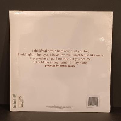 LOT 110: Vintage Record Collection- Billy Idol, Culture Club, Bananarama & More