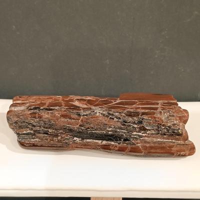 LOT 111: Rock Collection- Variscite, Red Jasper, Petrified Wood & More