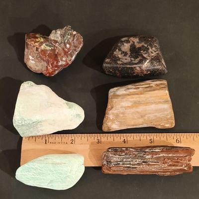 LOT 111: Rock Collection- Variscite, Red Jasper, Petrified Wood & More
