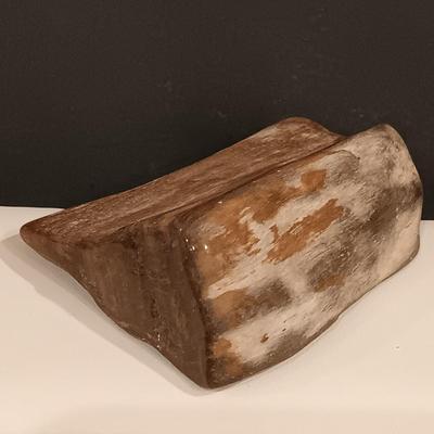 LOT 111: Rock Collection- Variscite, Red Jasper, Petrified Wood & More