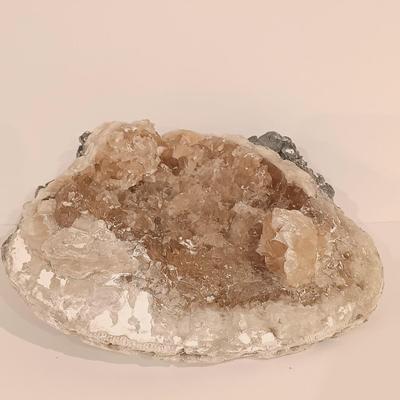 LOT 133: Calcite Crystals in a Fossilized Clamshell with Fossilized Coral & More