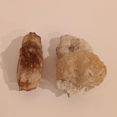LOT 133: Calcite Crystals in a Fossilized Clamshell with Fossilized Coral & More
