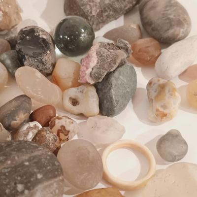 LOT 133: Calcite Crystals in a Fossilized Clamshell with Fossilized Coral & More