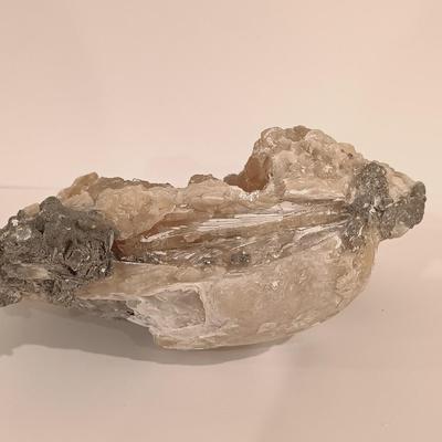 LOT 133: Calcite Crystals in a Fossilized Clamshell with Fossilized Coral & More
