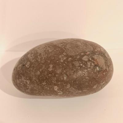 LOT 133: Calcite Crystals in a Fossilized Clamshell with Fossilized Coral & More