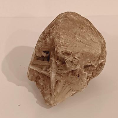LOT 133: Calcite Crystals in a Fossilized Clamshell with Fossilized Coral & More