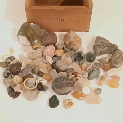 LOT 133: Calcite Crystals in a Fossilized Clamshell with Fossilized Coral & More