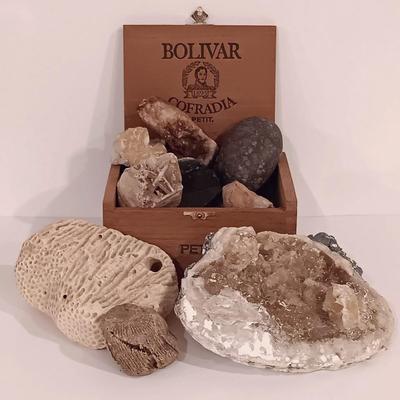 LOT 133: Calcite Crystals in a Fossilized Clamshell with Fossilized Coral & More
