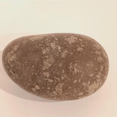 LOT 133: Calcite Crystals in a Fossilized Clamshell with Fossilized Coral & More