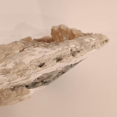 LOT 133: Calcite Crystals in a Fossilized Clamshell with Fossilized Coral & More