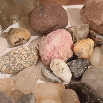 LOT 133: Calcite Crystals in a Fossilized Clamshell with Fossilized Coral & More