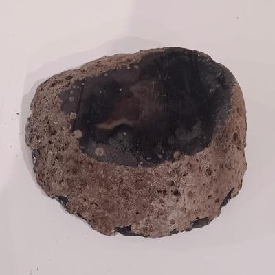 LOT 158: Polished Agate Geode, Polished Thunder Egg, Fern Fossil & More
