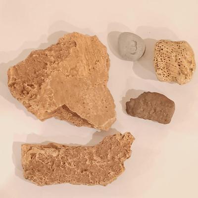 LOT 158: Polished Agate Geode, Polished Thunder Egg, Fern Fossil & More