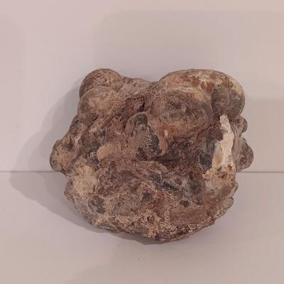 LOT 158: Polished Agate Geode, Polished Thunder Egg, Fern Fossil & More