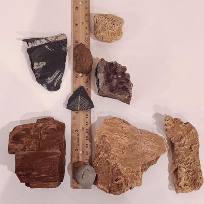 LOT 158: Polished Agate Geode, Polished Thunder Egg, Fern Fossil & More