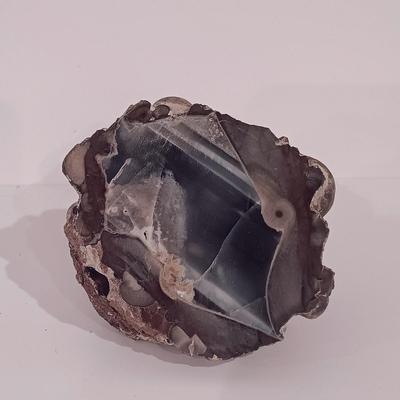 LOT 158: Polished Agate Geode, Polished Thunder Egg, Fern Fossil & More