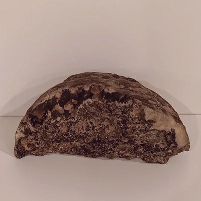 LOT 158: Polished Agate Geode, Polished Thunder Egg, Fern Fossil & More