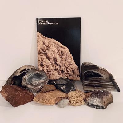 LOT 158: Polished Agate Geode, Polished Thunder Egg, Fern Fossil & More