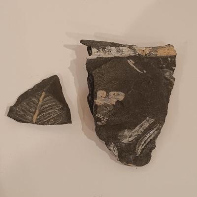 LOT 158: Polished Agate Geode, Polished Thunder Egg, Fern Fossil & More