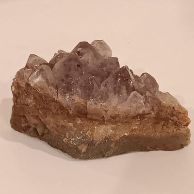 LOT 158: Polished Agate Geode, Polished Thunder Egg, Fern Fossil & More