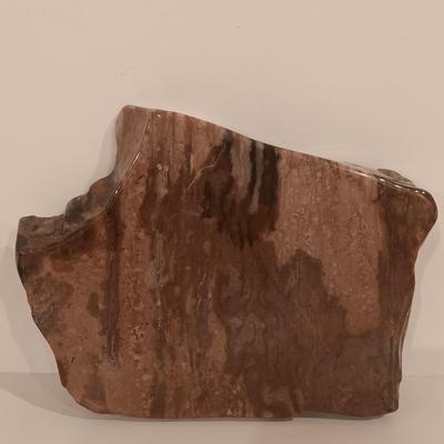 LOT 159: Crinoid Fossil, Large Concretion, Petrified Wood Slab, Polished Agate & More