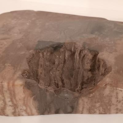 LOT 159: Crinoid Fossil, Large Concretion, Petrified Wood Slab, Polished Agate & More