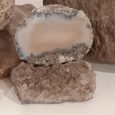 LOT 159: Crinoid Fossil, Large Concretion, Petrified Wood Slab, Polished Agate & More
