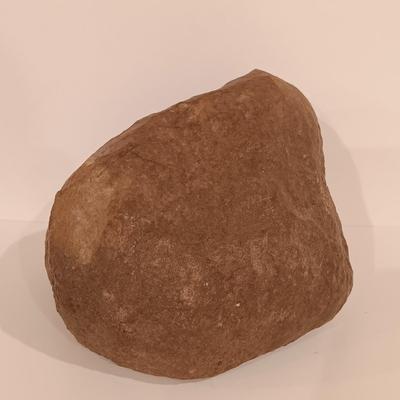 LOT 159: Crinoid Fossil, Large Concretion, Petrified Wood Slab, Polished Agate & More