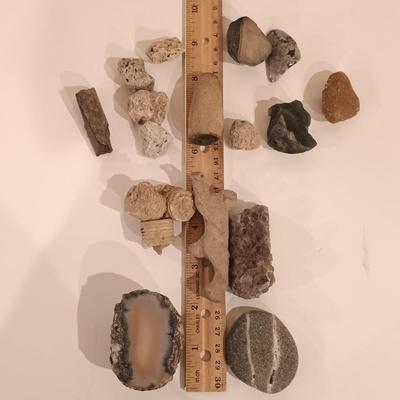 LOT 159: Crinoid Fossil, Large Concretion, Petrified Wood Slab, Polished Agate & More