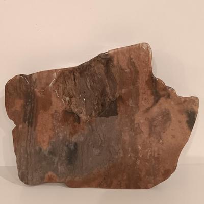 LOT 159: Crinoid Fossil, Large Concretion, Petrified Wood Slab, Polished Agate & More