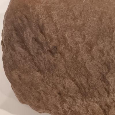 LOT 159: Crinoid Fossil, Large Concretion, Petrified Wood Slab, Polished Agate & More