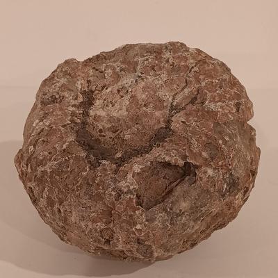 LOT 159: Crinoid Fossil, Large Concretion, Petrified Wood Slab, Polished Agate & More