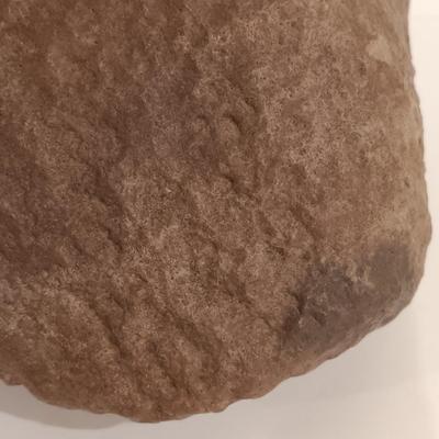 LOT 159: Crinoid Fossil, Large Concretion, Petrified Wood Slab, Polished Agate & More