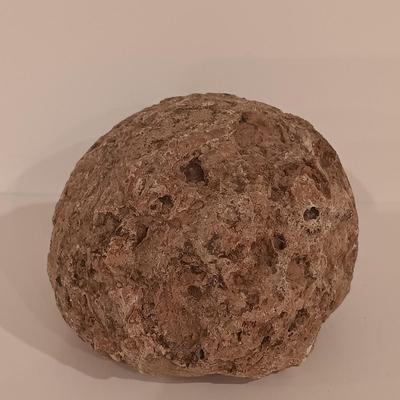 LOT 159: Crinoid Fossil, Large Concretion, Petrified Wood Slab, Polished Agate & More