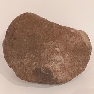 LOT 159: Crinoid Fossil, Large Concretion, Petrified Wood Slab, Polished Agate & More