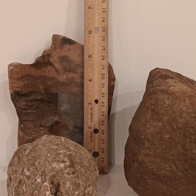 LOT 159: Crinoid Fossil, Large Concretion, Petrified Wood Slab, Polished Agate & More