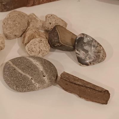 LOT 159: Crinoid Fossil, Large Concretion, Petrified Wood Slab, Polished Agate & More