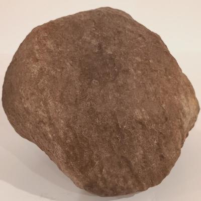 LOT 159: Crinoid Fossil, Large Concretion, Petrified Wood Slab, Polished Agate & More