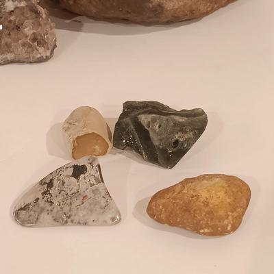 LOT 159: Crinoid Fossil, Large Concretion, Petrified Wood Slab, Polished Agate & More
