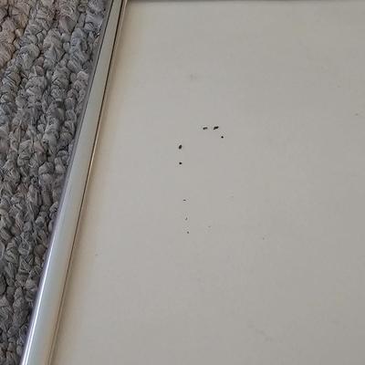 Three Original Lithographs by Johanna Obermiller (PC-JS)