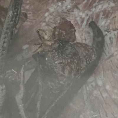 Four Unique Shadow Boxes by Joyce Blunk (LR-JS)