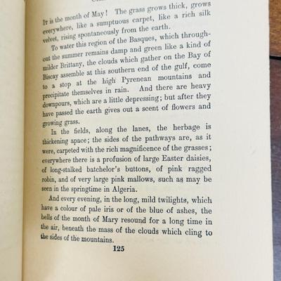 A Tale of. the Pyrenees Pierre Loti hardback
