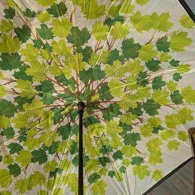 Assortment Of Umbrellas