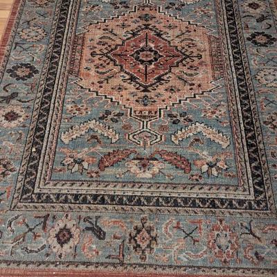 7 x 5 Area Rug