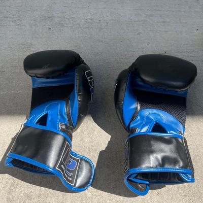 Salamon Skis, Skateboard & Boxing Gear (G-MG)